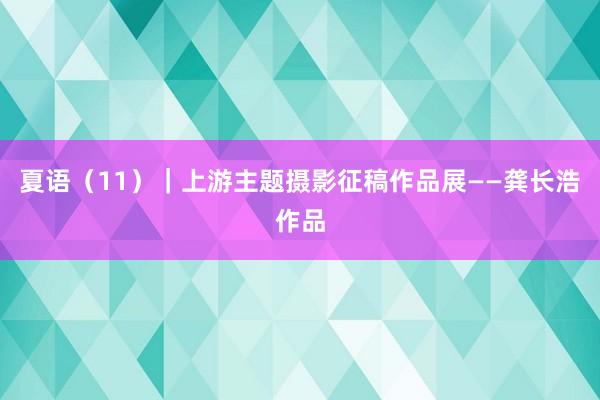 夏语（11）｜上游主题摄影征稿作品展——龚长浩作品