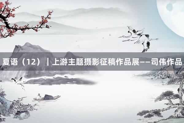 夏语（12）｜上游主题摄影征稿作品展——司伟作品