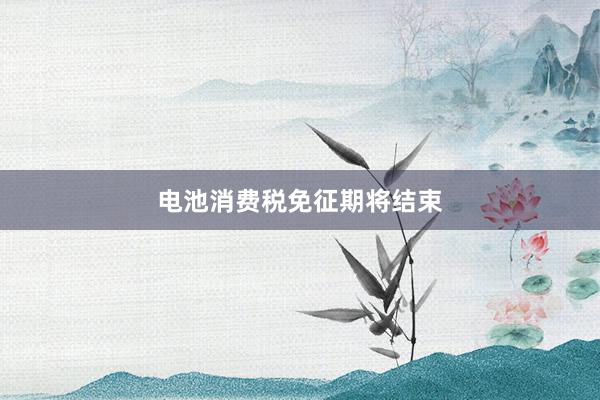 电池消费税免征期将结束