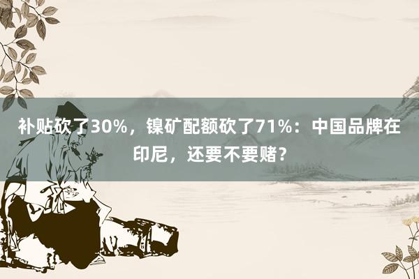 补贴砍了30%，镍矿配额砍了71%：中国品牌在印尼，还要不要赌？