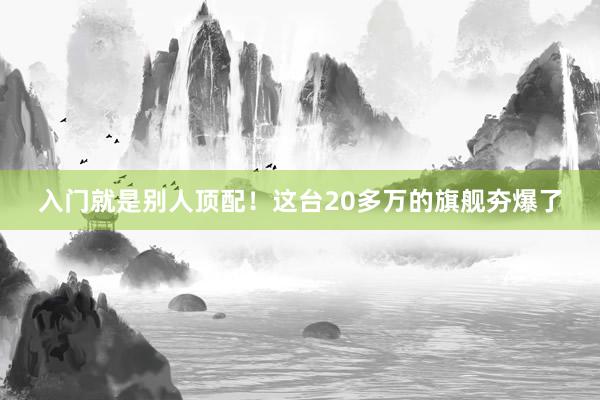 入门就是别人顶配！这台20多万的旗舰夯爆了