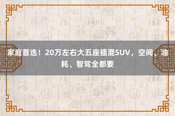 家庭首选！20万左右大五座插混SUV，空间、油耗、智驾全都要