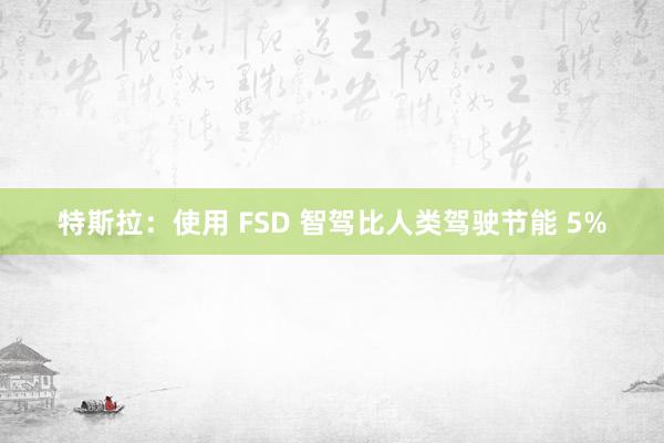 特斯拉：使用 FSD 智驾比人类驾驶节能 5%