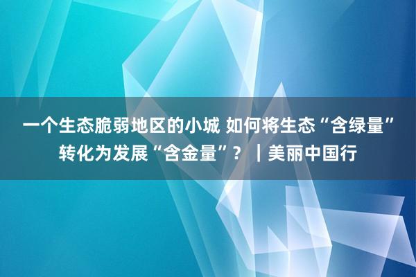 一个生态脆弱地区的小城 如何将生态“含绿量”转化为发展“含金量”？｜美丽中国行