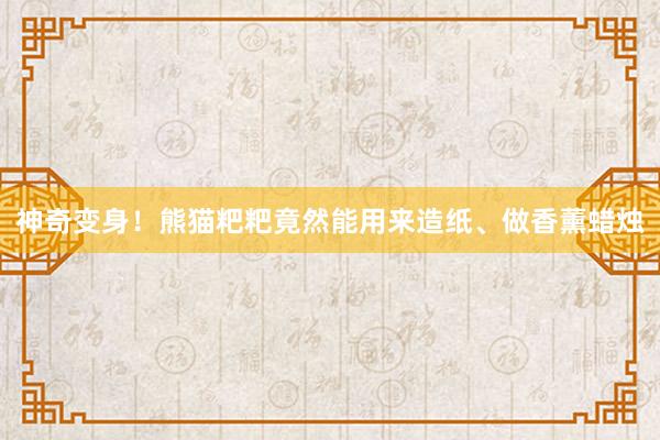 神奇变身！熊猫粑粑竟然能用来造纸、做香薰蜡烛