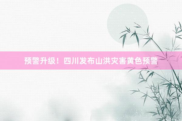 预警升级！四川发布山洪灾害黄色预警