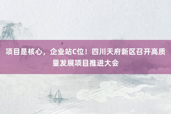 项目是核心,企业站C位!四川天府新区召开高质量发展项目推进大会