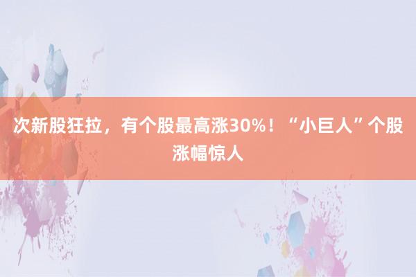 次新股狂拉，有个股最高涨30%！“小巨人”个股涨幅惊人