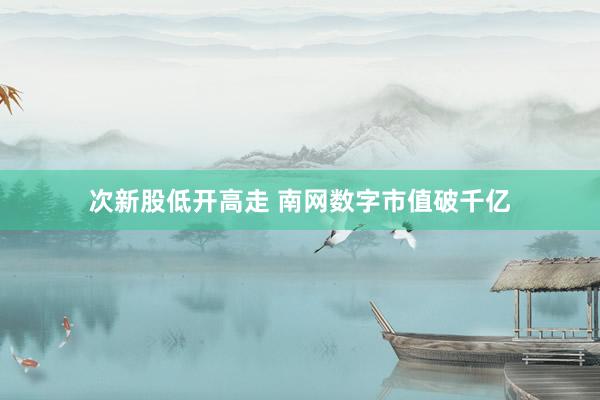 次新股低开高走 南网数字市值破千亿