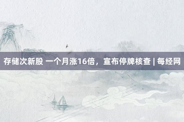 存储次新股 一个月涨16倍，宣布停牌核查 | 每经网