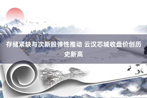 存储紧缺与次新股弹性推动 云汉芯城收盘价创历史新高