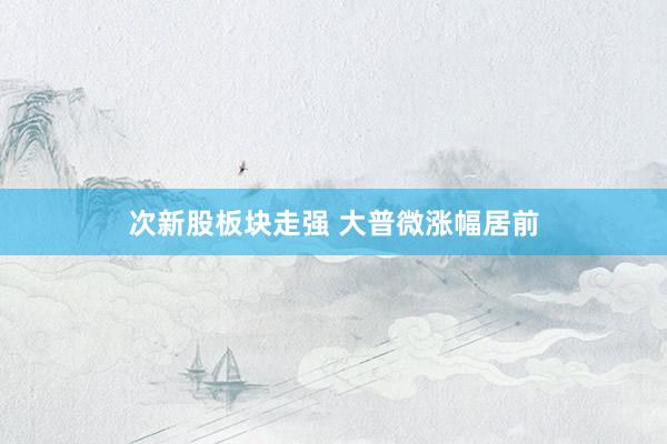 次新股板块走强 大普微涨幅居前