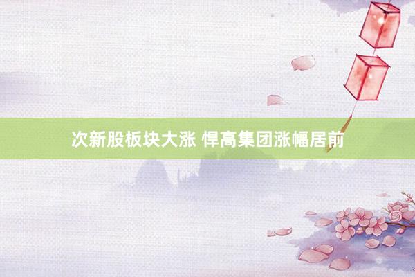 次新股板块大涨 悍高集团涨幅居前
