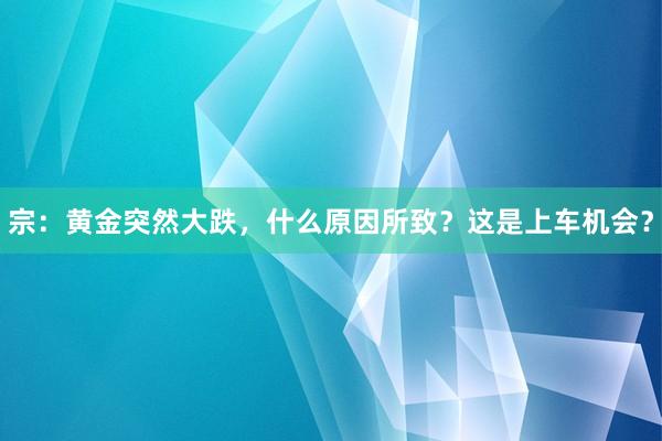 宗：黄金突然大跌，什么原因所致？这是上车机会？