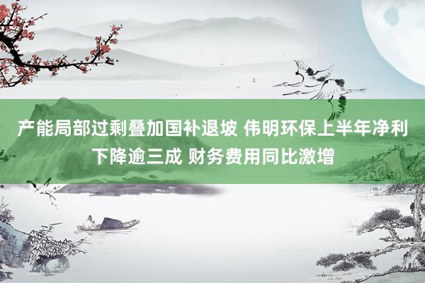 产能局部过剩叠加国补退坡 伟明环保上半年净利下降逾三成 财务费用同比激增