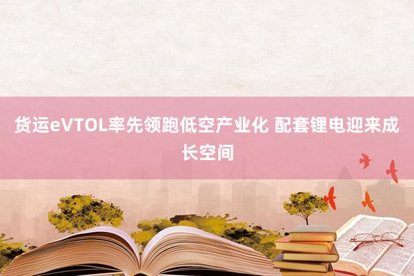 货运eVTOL率先领跑低空产业化 配套锂电迎来成长空间