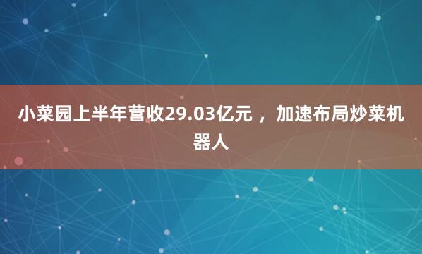 小菜园上半年营收29.03亿元 ，加速布局炒菜机器人