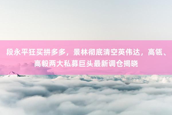 段永平狂买拼多多，景林彻底清空英伟达，高瓴、高毅两大私募巨头最新调仓揭晓