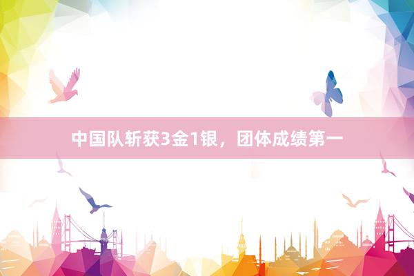 中国队斩获3金1银，团体成绩第一