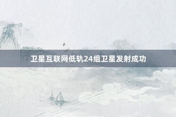卫星互联网低轨24组卫星发射成功