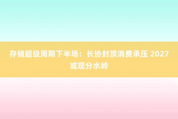 存储超级周期下半场：长协封顶消费承压 2027或现分水岭