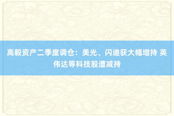 高毅资产二季度调仓：美光、闪迪获大幅增持 英伟达等科技股遭减持