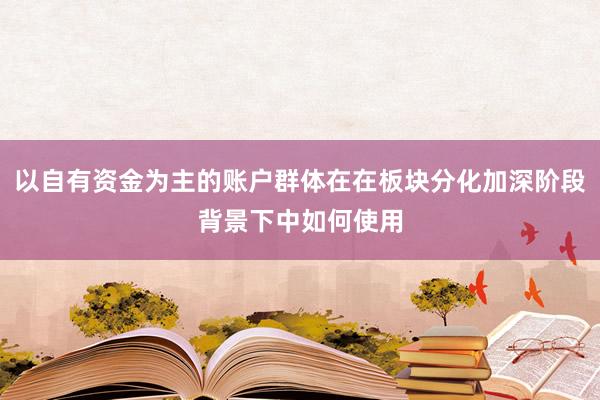 以自有资金为主的账户群体在在板块分化加深阶段背景下中如何使用