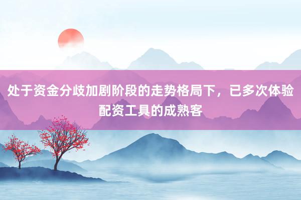 处于资金分歧加剧阶段的走势格局下，已多次体验配资工具的成熟客