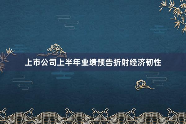 上市公司上半年业绩预告折射经济韧性