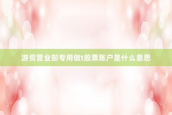 游资营业部专用做t股票账户是什么意思