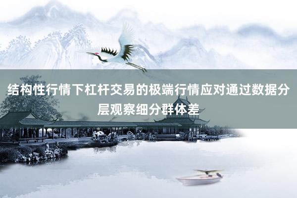 结构性行情下杠杆交易的极端行情应对通过数据分层观察细分群体差