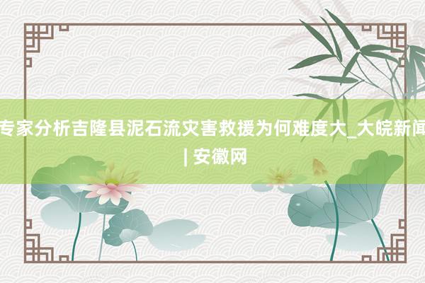 专家分析吉隆县泥石流灾害救援为何难度大_大皖新闻 | 安徽网