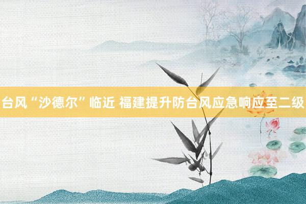 台风“沙德尔”临近 福建提升防台风应急响应至二级