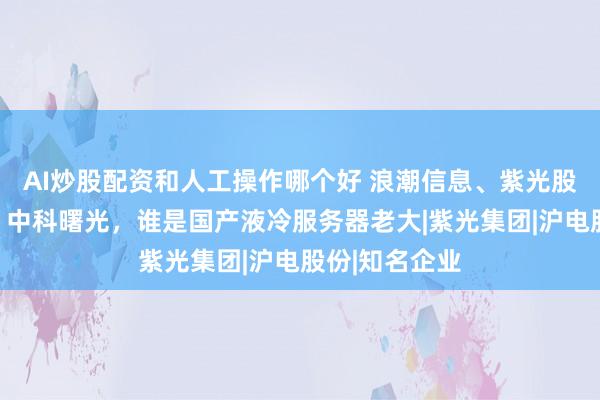 AI炒股配资和人工操作哪个好 浪潮信息、紫光股份、英维克、中科曙光，谁是国产液冷服务器老大|紫光集团|沪电股份|知名企业