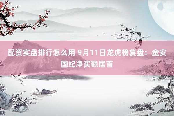 配资实盘排行怎么用 9月11日龙虎榜复盘：金安国纪净买额居首