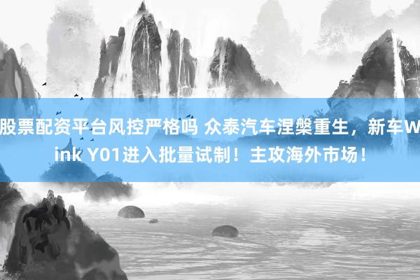 股票配资平台风控严格吗 众泰汽车涅槃重生，新车Wink Y01进入批量试制！主攻海外市场！