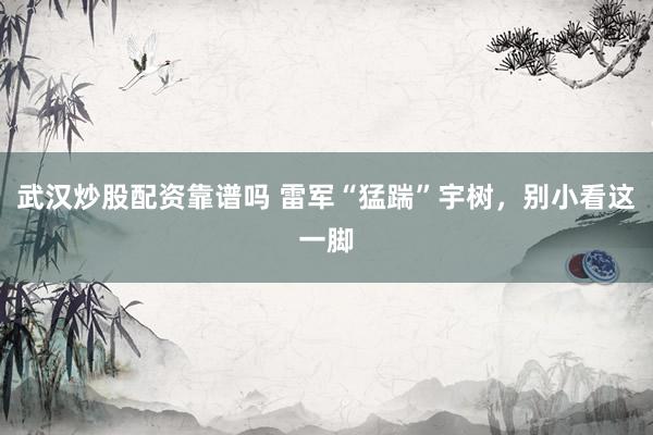 武汉炒股配资靠谱吗 雷军“猛踹”宇树，别小看这一脚
