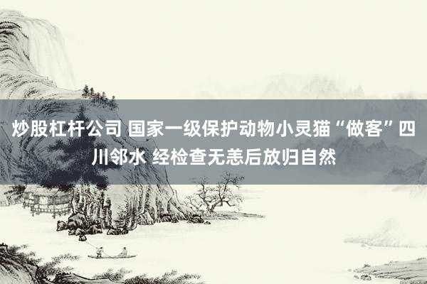 炒股杠杆公司 国家一级保护动物小灵猫“做客”四川邻水 经检查无恙后放归自然