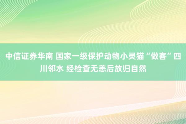 中信证券华南 国家一级保护动物小灵猫“做客”四川邻水 经检查无恙后放归自然