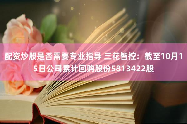 配资炒股是否需要专业指导 三花智控：截至10月15日公司累计回购股份5813422股