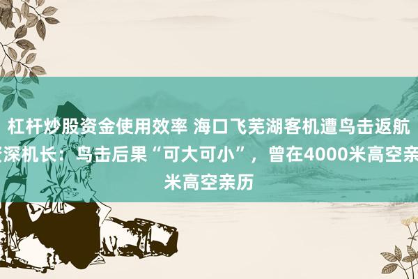 杠杆炒股资金使用效率 海口飞芜湖客机遭鸟击返航 资深机长:鸟击后果“可大可小”,曾在4000米高空亲历