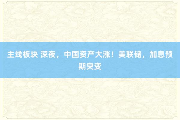 主线板块 深夜,中国资产大涨!美联储,加息预期突变